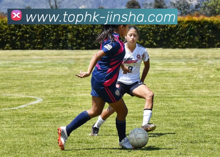 金沙娱乐城平台生态图